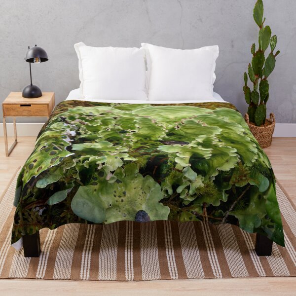 Item preview, Green dog lichen. Kuusamo, Ristikallio designed and sold by Jouko Lehto Photography.