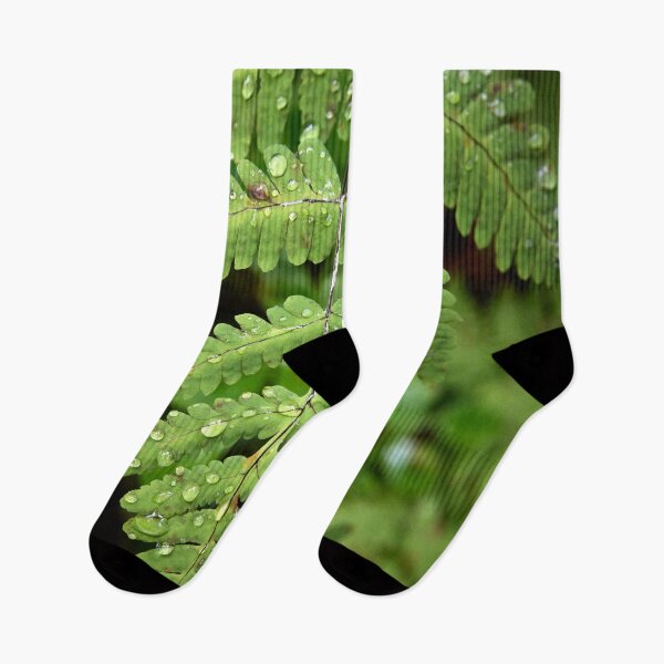 Item preview, One rainy day 2. Kuusamo, Ristikallio designed and sold by Jouko Lehto Photography.