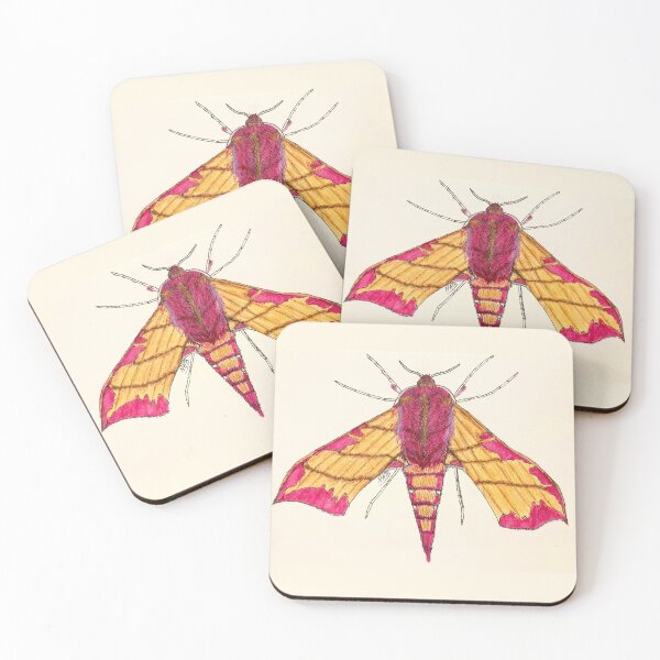 Item preview, Elephant-Hawk Moth designed and sold by Thoughtfulbugs.