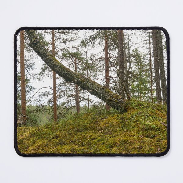 Item preview, Almost down. Kuusamo, Ristikallio designed and sold by Jouko Lehto Photography.