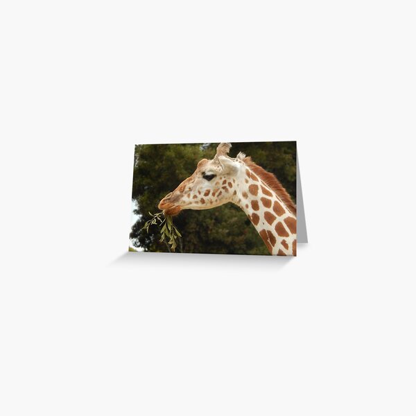 Item preview, Giraffes 018 designed and sold by pasta26mc.