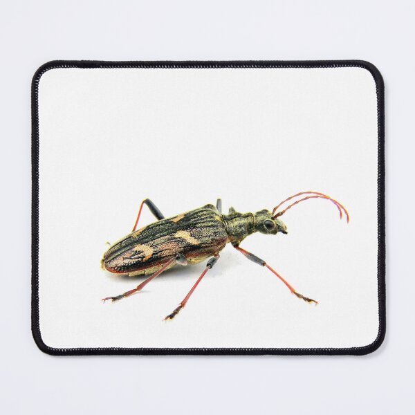 Item preview, Longhorn beetle designed and sold by missmoneypenny.