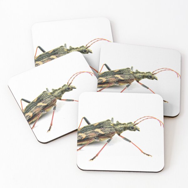 Item preview, Longhorn beetle designed and sold by missmoneypenny.