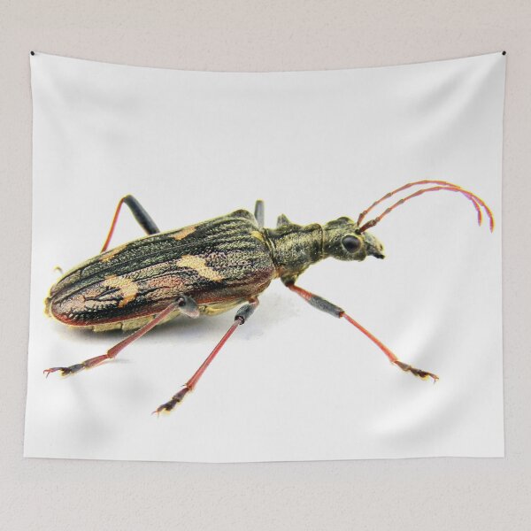 Item preview, Longhorn beetle designed and sold by missmoneypenny.