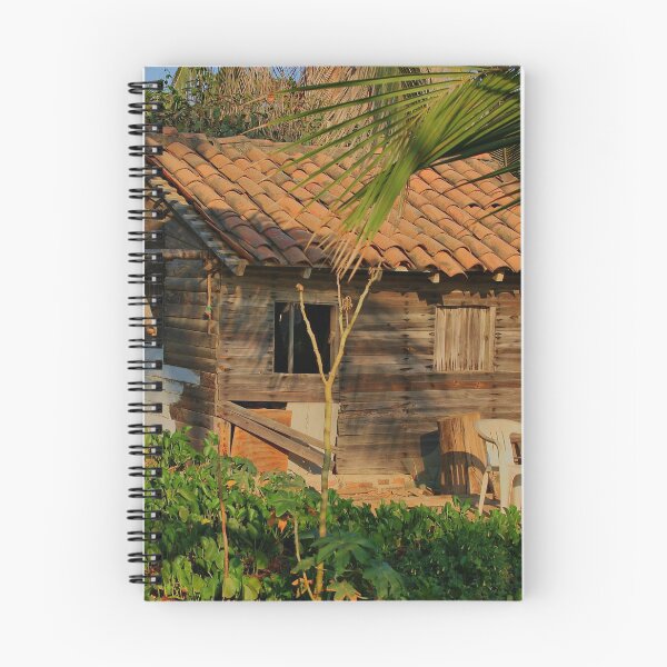 Item preview, Mexico Beach House designed and sold by Barbara  Brown.