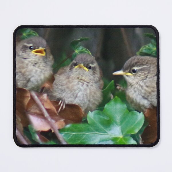 Item preview, Gossip designed and sold by missmoneypenny.