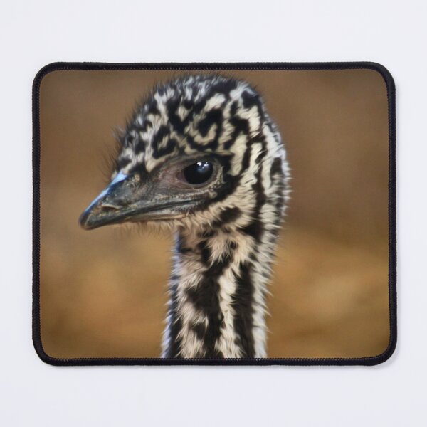 Item preview, Emu chick designed and sold by missmoneypenny.