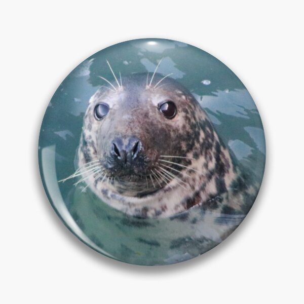 Item preview, Curious seals designed and sold by missmoneypenny.