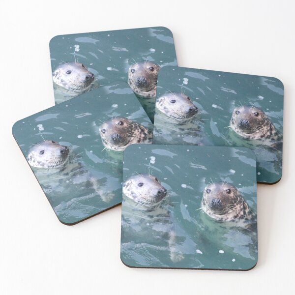 Item preview, Curious seals designed and sold by missmoneypenny.