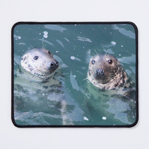 Item preview, Curious seals designed and sold by missmoneypenny.