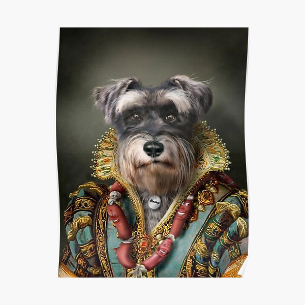 Schnauzer Portrait - Bailey Poster