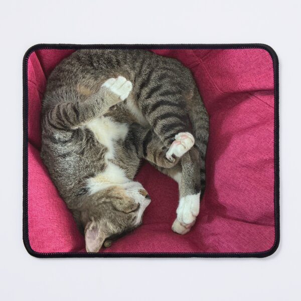 Item preview, The tabby cat sleeps comfortably on the sofa designed and sold by ChaReePat.
