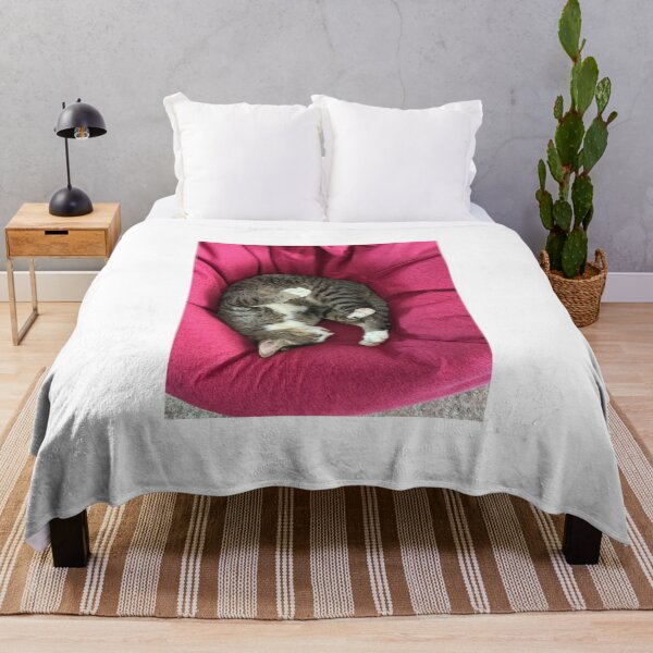 Item preview, The tabby cat sleeps comfortably on the sofa designed and sold by ChaReePat.
