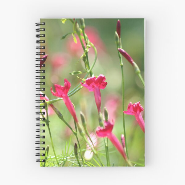 Item preview, Look Up designed and sold by Olivia Plasencia.
