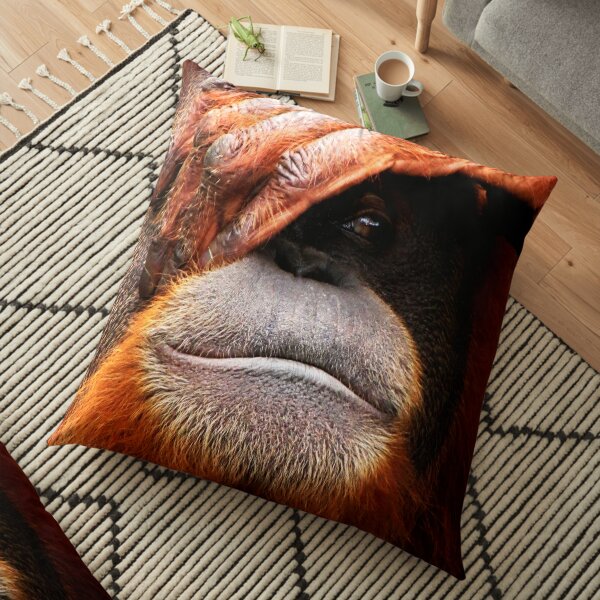 Produits Sur Le Theme Orang Outan Redbubble