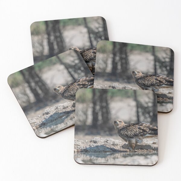 Item preview, Water Ritual — Tawny Eagle I: At the Edge designed and sold by DavideAntoniani.