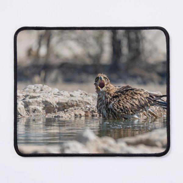 Item preview, Rituale d’Acqua — Aquila rapace IV: Grido dalla pozza designed and sold by DavideAntoniani.
