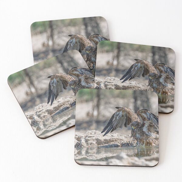 Item preview, Amber Wings Over Water – Tawny Eagle Bathing (Etosha) designed and sold by DavideAntoniani.