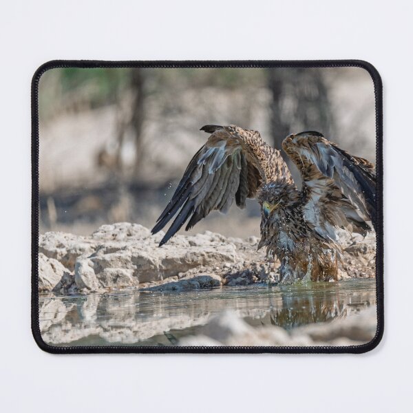 Item preview, Amber Wings Over Water – Tawny Eagle Bathing (Etosha) designed and sold by DavideAntoniani.