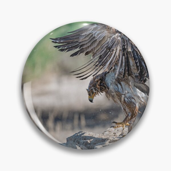 Item preview, Tawny Eagle Rising — Etosha Waterhole designed and sold by DavideAntoniani.
