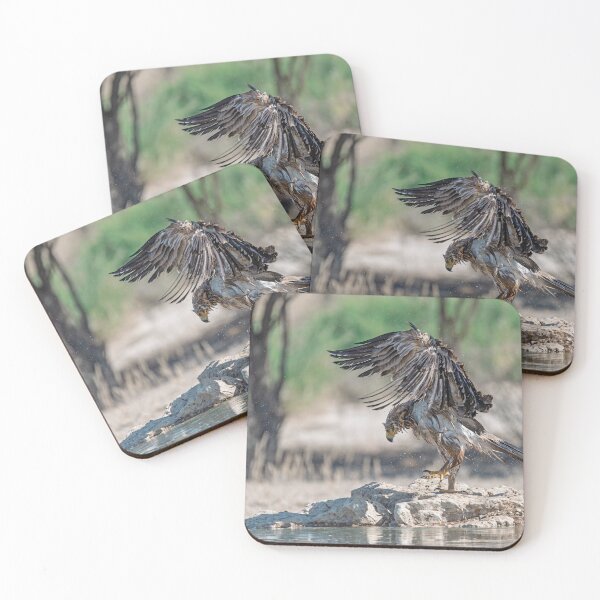 Item preview, Tawny Eagle Rising — Etosha Waterhole designed and sold by DavideAntoniani.