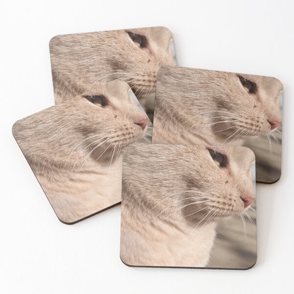 Item preview, Cat under the sun designed and sold by Ljubica100.