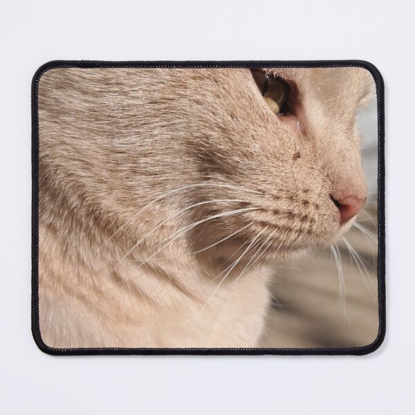 Item preview, Cat under the sun designed and sold by Ljubica100.