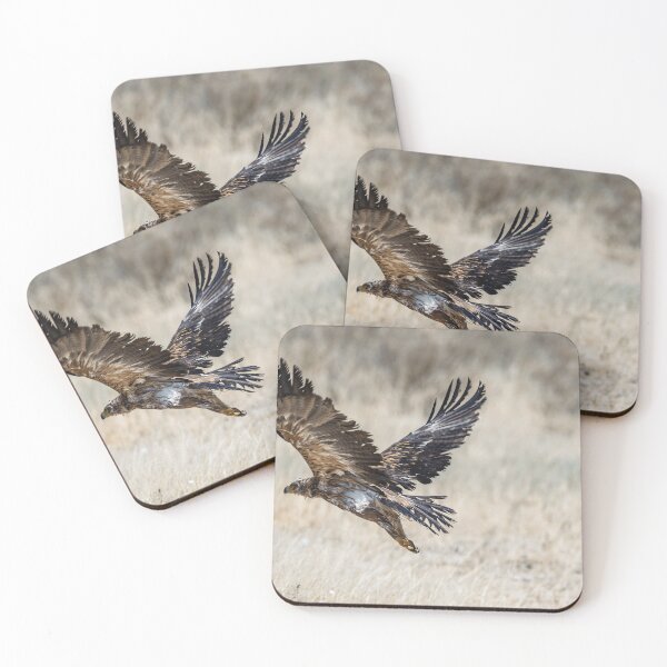Item preview, Tawny Eagle Takeoff II — Etosha Waterhole designed and sold by DavideAntoniani.