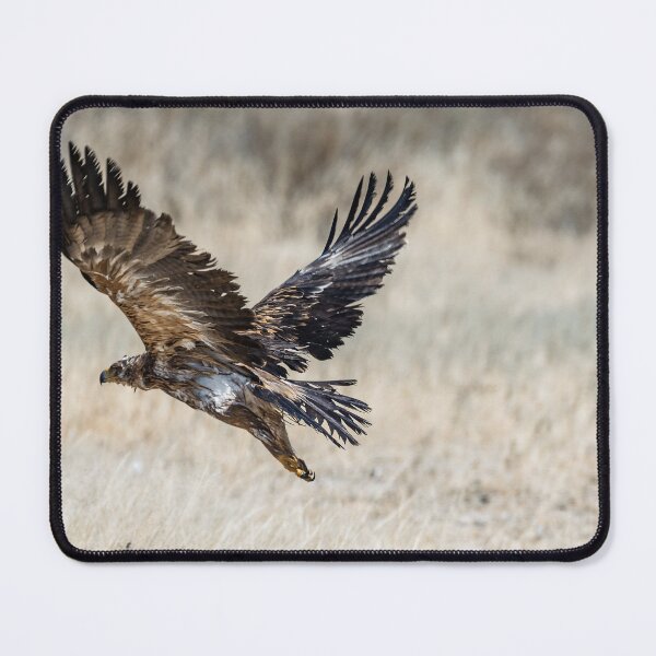 Item preview, Tawny Eagle Takeoff II — Etosha Waterhole designed and sold by DavideAntoniani.