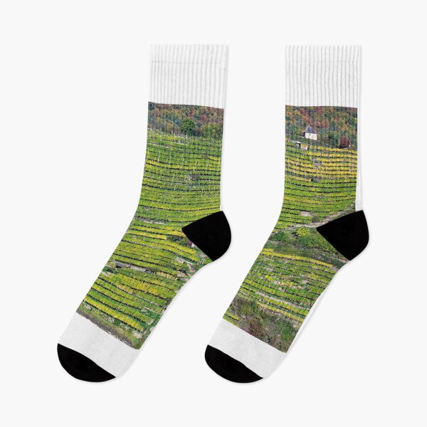Item preview, Autumn panorama of Wachau valley (Unesco world heritage site), vineyard landscape, Lower Austria, Austria designed and sold by goceris.