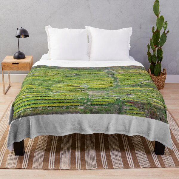 Item preview, Autumn panorama of Wachau valley (Unesco world heritage site), vineyard landscape, Lower Austria, Austria designed and sold by goceris.