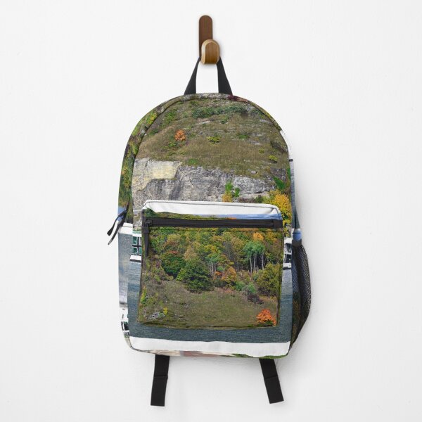 Item preview, A tourist cruise ship sails past the Church of Saint Michael,Mosinghof, Wachau valley, Austria designed and sold by goceris.