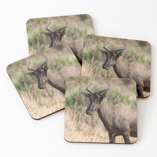 Item preview, Quiet Power — Tsessebe Portrait designed and sold by DavideAntoniani.