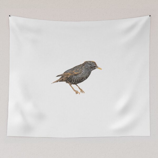 Item preview, Iridescent Starling - Bold Digital Bird Art in Block Colours designed and sold by JunaFish.