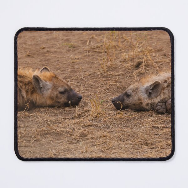 Item preview, Resting Spotted Hyenas in the African Savanna designed and sold by rabbitholephoto.