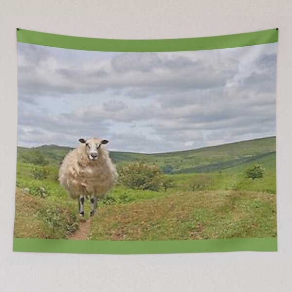 Aperçu de l'œuvre moutons sur Dartmoor créée et vendue par artsmeow.