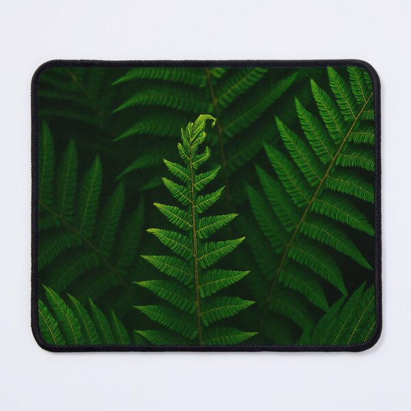 Item preview, Emergence: The Language of Ferns designed and sold by Roland Keates aka Lost Histories .