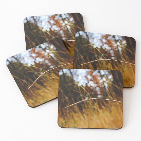 Item preview, Stranded.  designed and sold by M&M Photography.