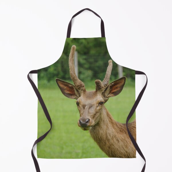 Item preview, Young White-tailed Deer designed and sold by Production Art Manon Meilleur.