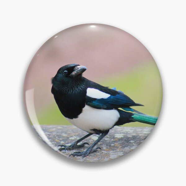 Item preview, Who's that sneaking up on me? designed and sold by missmoneypenny.