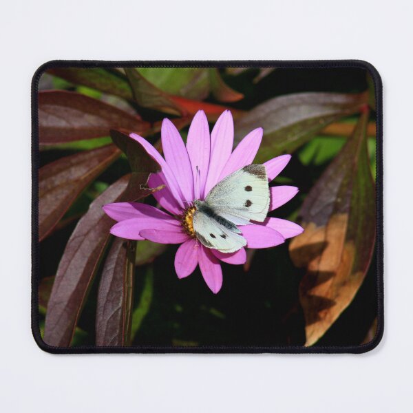 Item preview, White on pink designed and sold by missmoneypenny.