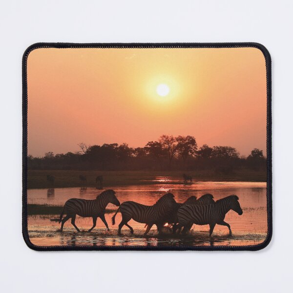 Item preview, Zebra Sunset designed and sold by Kay Brewer.