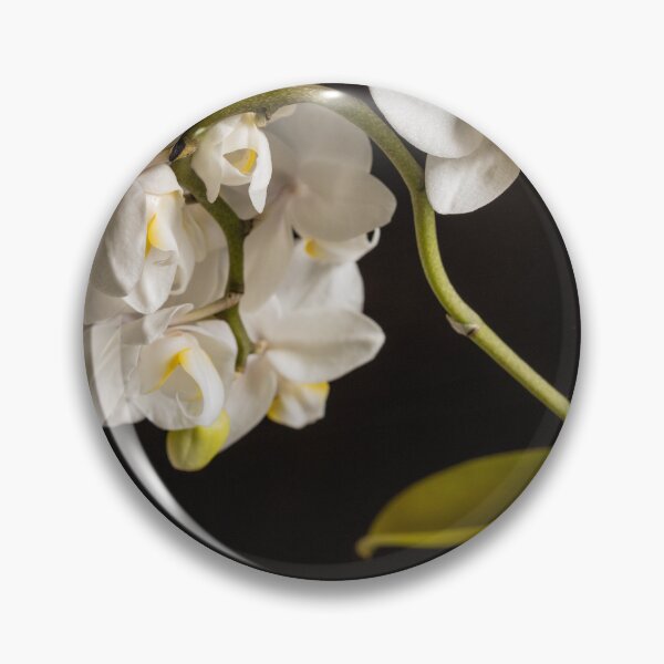 Item preview, Phalaenopsis orchid, orchid designed and sold by nammo.