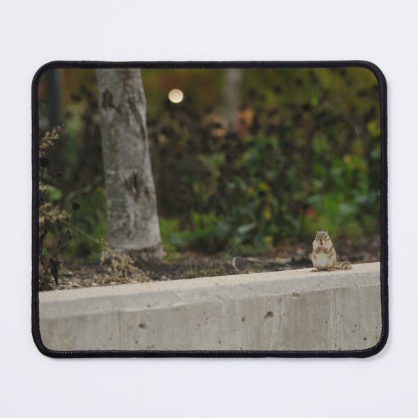 Item preview, No Longer Hungry Chipmunk designed and sold by CptnChkn.