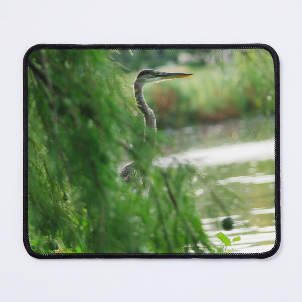 Item preview, Great Blue Heron Peeking Through the Pines designed and sold by CptnChkn.