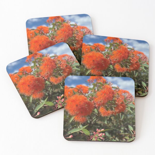 Item preview, Red Flowering Gum (Corymbia ficifolia).  designed and sold by Blokey Aarsevark.