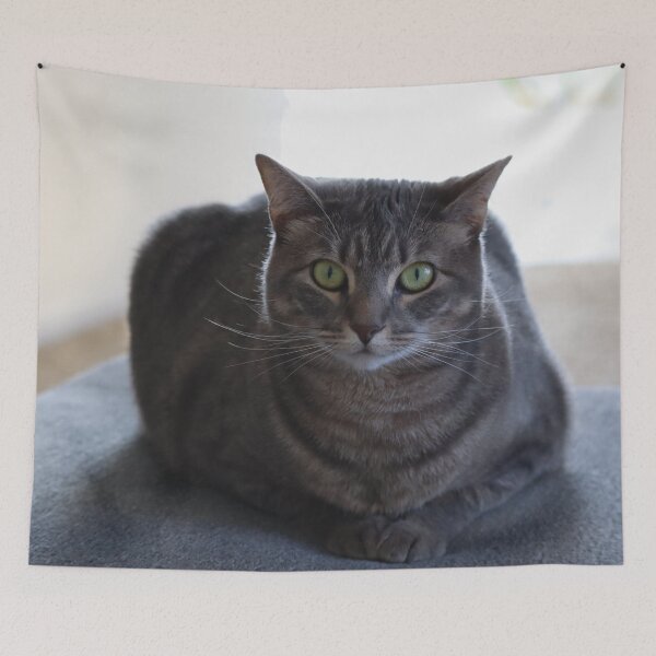 Item preview, Green-Eyed Majestic Grey Tabby Cat designed and sold by DelisMay Studio.