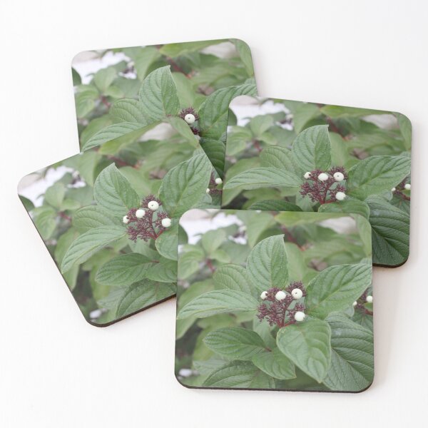 Item preview, Wintery plant designed and sold by My Eternal Paint Vial.