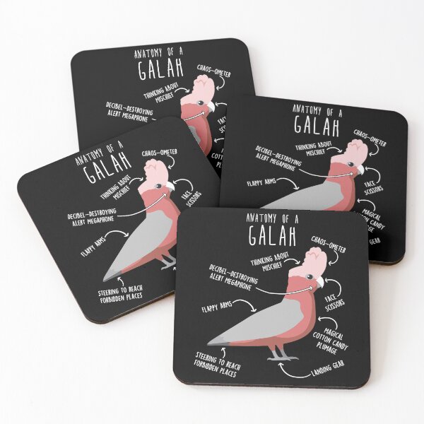 Item preview, Galah Cockatoo Anatomy designed and sold by Clara Hollins.