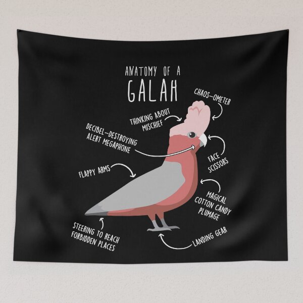 Item preview, Galah Cockatoo Anatomy designed and sold by Clara Hollins.